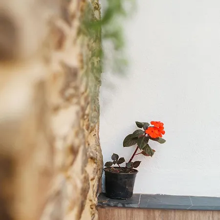 Casa Robaleira Holiday home