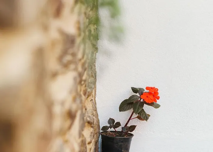 Casa Robaleira Vakantiehuis